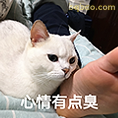 心情有点臭