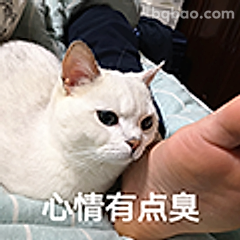 心情有点臭