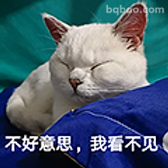 不好意思我看不见