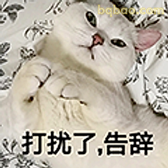 打扰了告辞