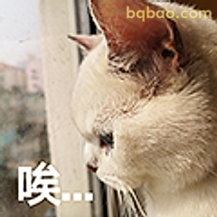 猫咪叹气唉...
