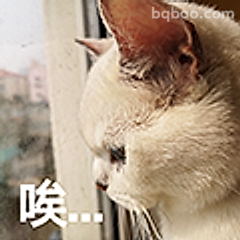 猫咪叹气唉...