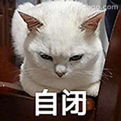 白猫自闭中
