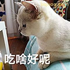 吃啥好呢