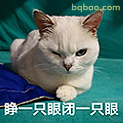 睁一只眼闭一只眼