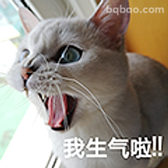 我生气啦!!