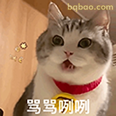 骂骂咧咧小猫