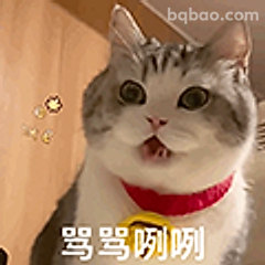 骂骂咧咧小猫
