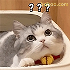 猫咪疑惑三连问