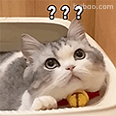 猫咪疑惑三连问