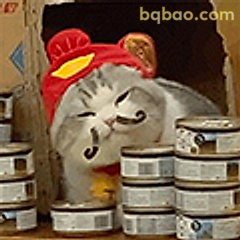 戴红帽的猫守罐头