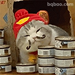戴红帽的猫守罐头