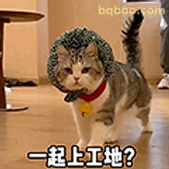 一起上工地？