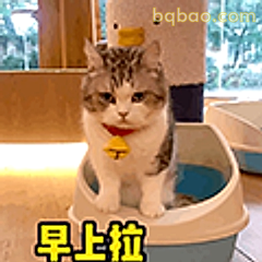 早上拉