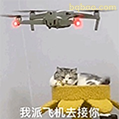 我派飞机去接你