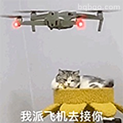 我派飞机去接你