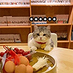 猫咪盯锅想偷吃