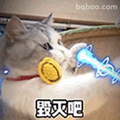 猫咪发射激光毁灭吧