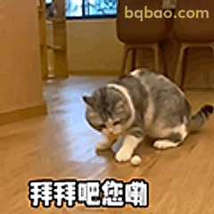 拜拜吧您嘞