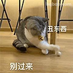 别过来，丑东西