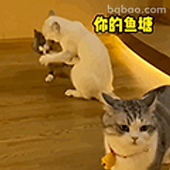 你的鱼塘被偷了