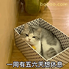 一周有五六天想休息