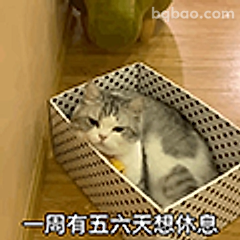 一周有五六天想休息