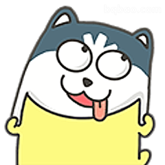 哈士奇吐舌卖萌