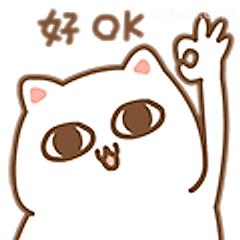 好OK猫咪举手