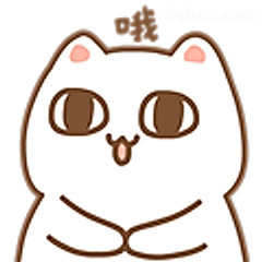猫咪哦表情包