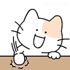 开心拍桌小猫