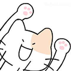 开心举爪小猫