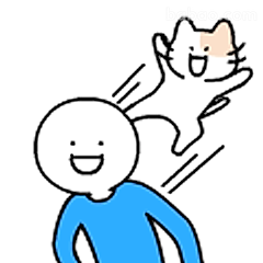 猫主子飞扑主人