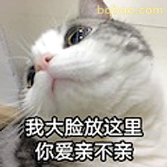 我大脸放这里你爱亲不亲