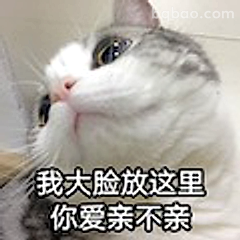 我大脸放这里你爱亲不亲