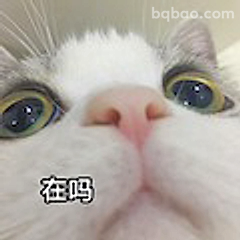 在吗？猫咪灵魂发问