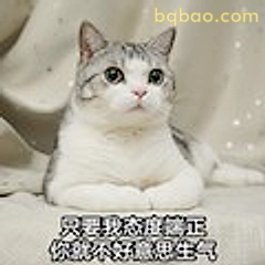 态度端正不生气