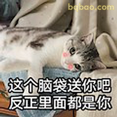 这个脑袋送你吧