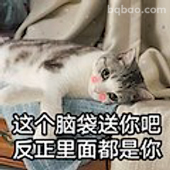 这个脑袋送你吧