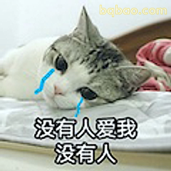 没有人爱我