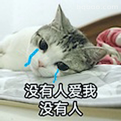 没有人爱我
