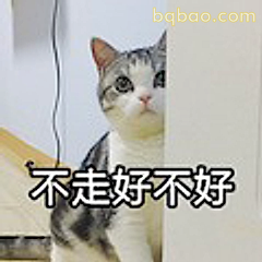 不走好不好