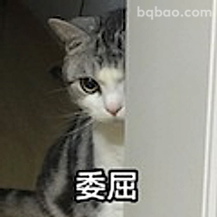 猫咪委屈脸