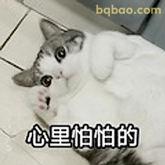 心里怕怕的猫咪