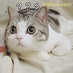 猫咪一脸问号