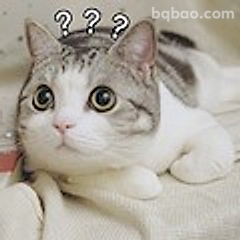 猫咪一脸问号