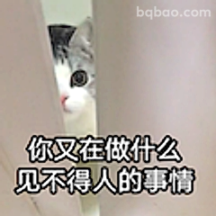 你又在做什么见不得人的事