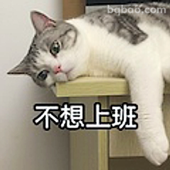 不想上班的猫