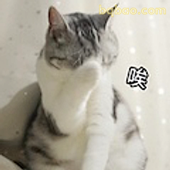 猫咪叹气唉