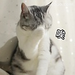 猫咪叹气唉